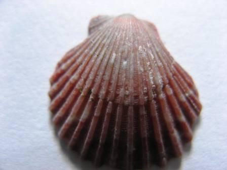 Che cos''� ciao ragazzi!!